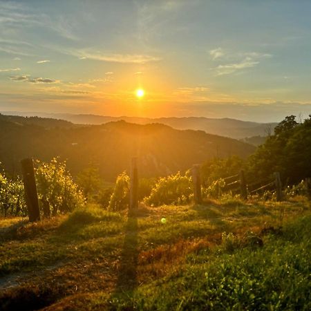 1929 Wine Food Relax Agriturismo Acqui Terme Zewnętrze zdjęcie