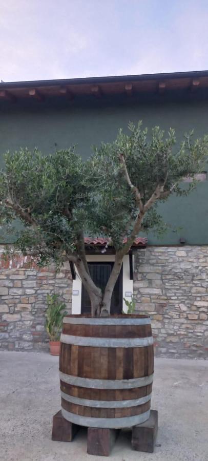 1929 Wine Food Relax Agriturismo Acqui Terme Zewnętrze zdjęcie