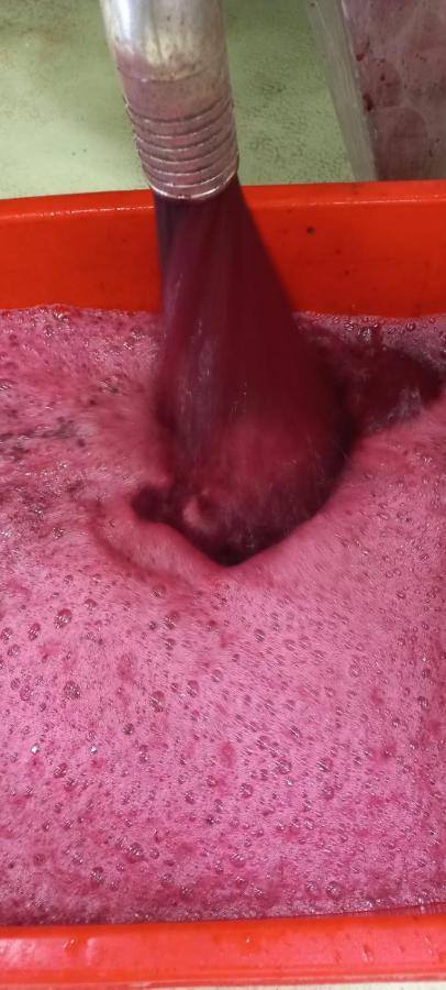 1929 Wine Food Relax Agriturismo Acqui Terme Zewnętrze zdjęcie