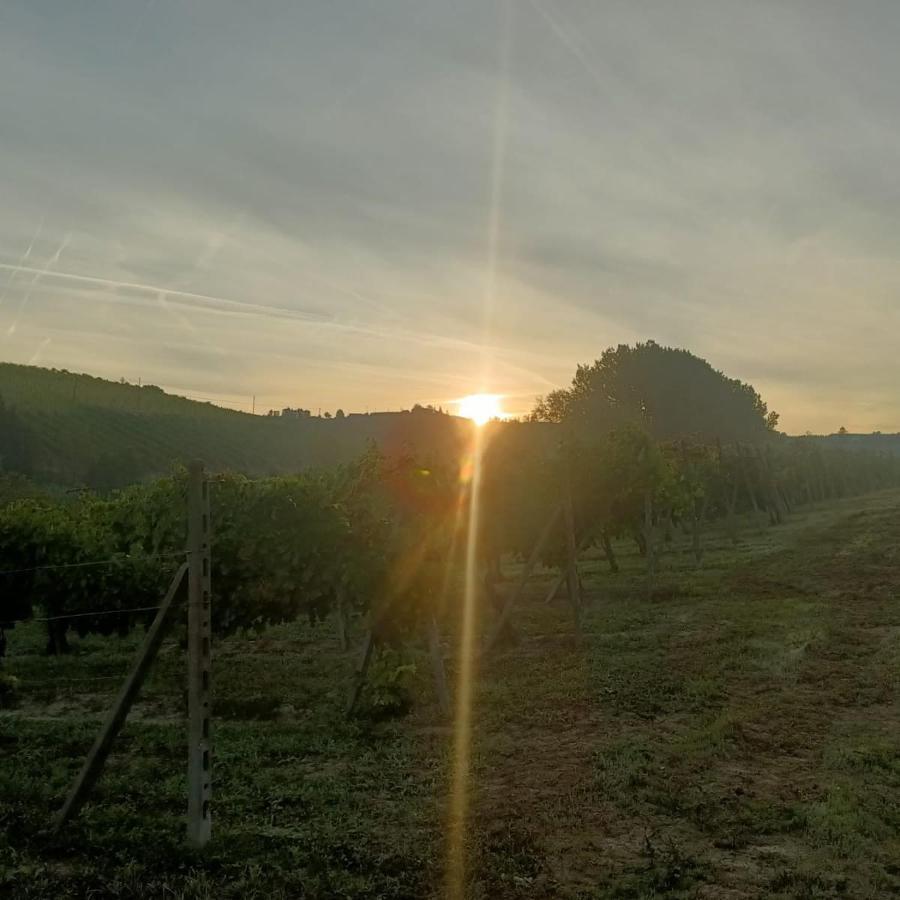 1929 Wine Food Relax Agriturismo Acqui Terme Zewnętrze zdjęcie