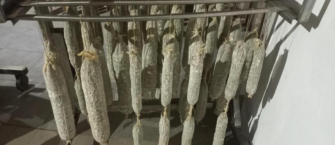 1929 Wine Food Relax Agriturismo Acqui Terme Zewnętrze zdjęcie