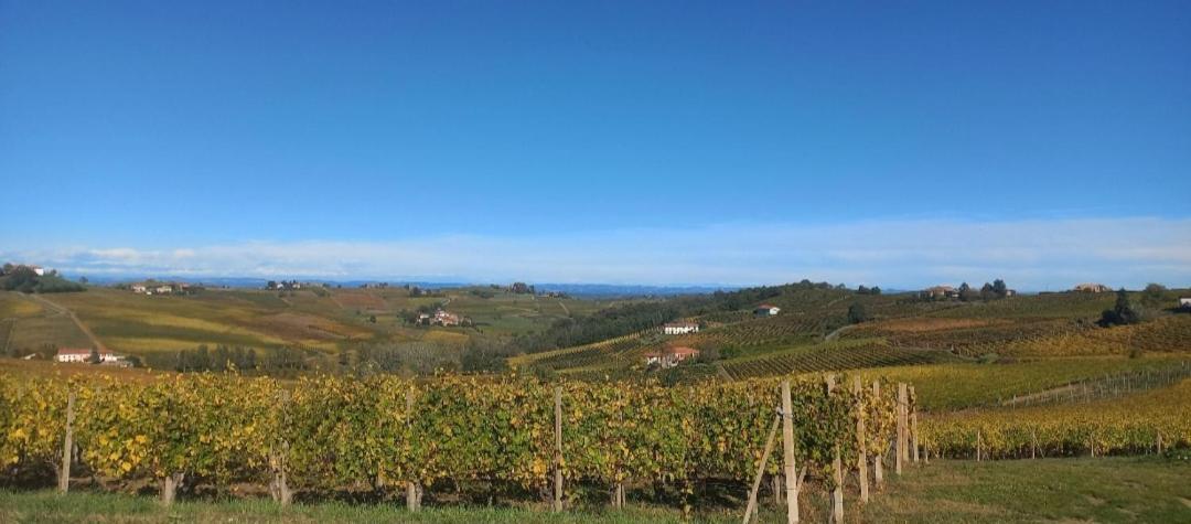 1929 Wine Food Relax Agriturismo Acqui Terme Zewnętrze zdjęcie