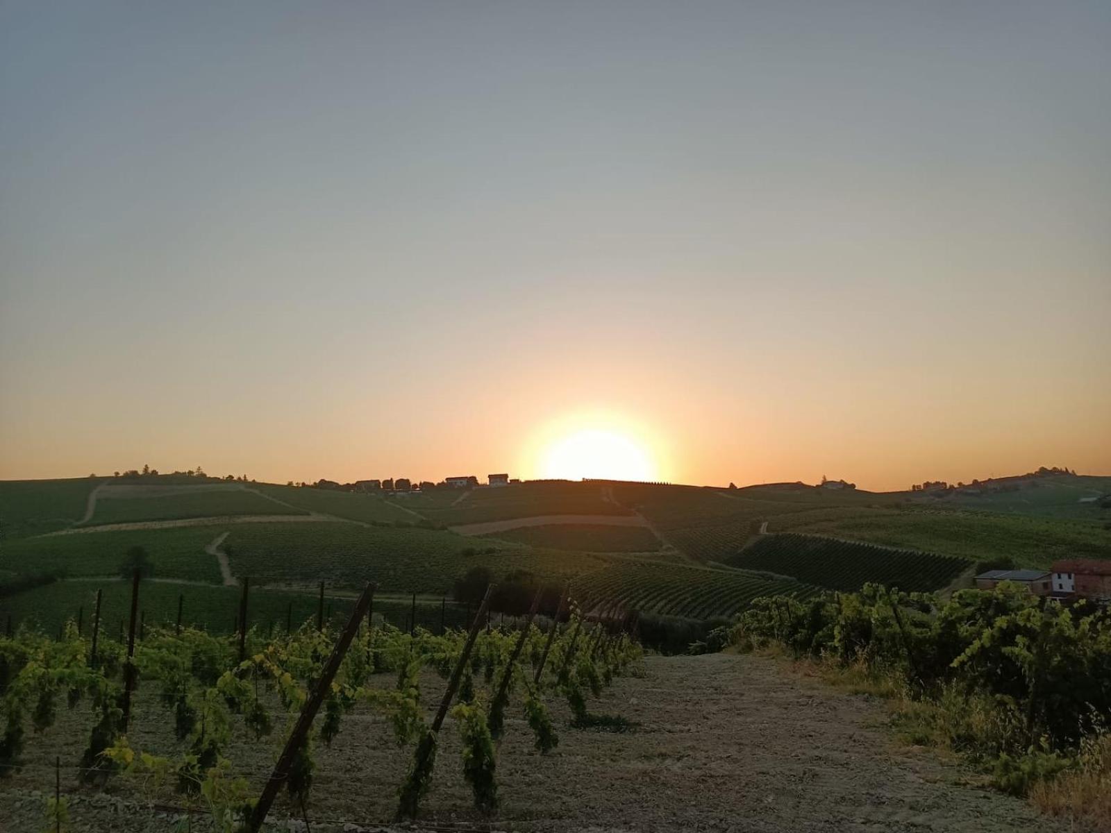 1929 Wine Food Relax Agriturismo Acqui Terme Zewnętrze zdjęcie
