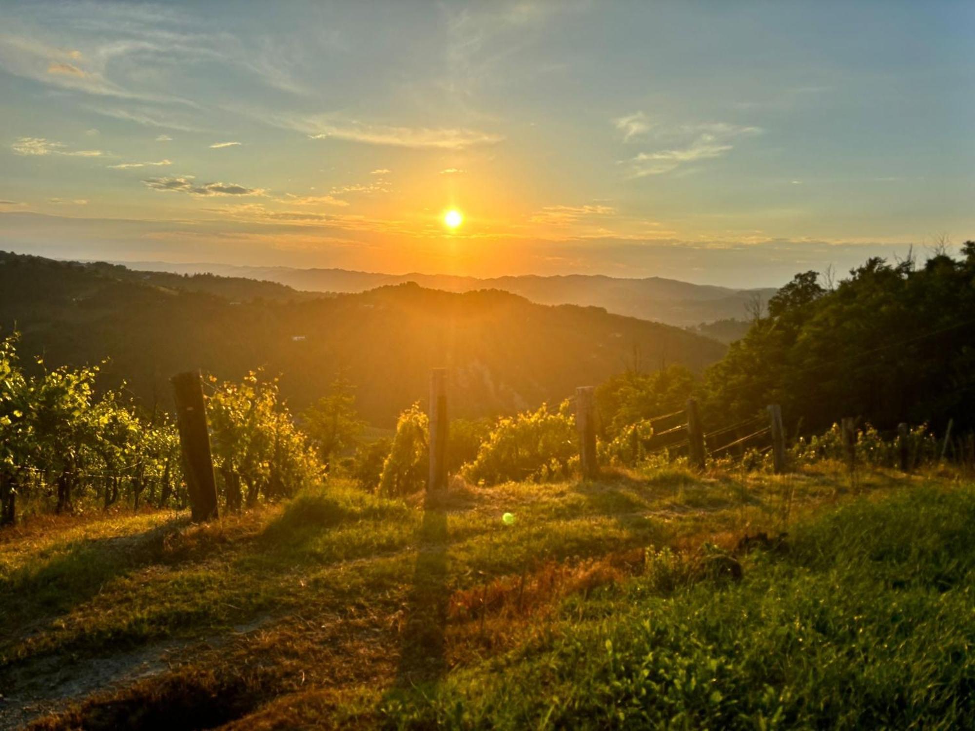 1929 Wine Food Relax Agriturismo Acqui Terme Zewnętrze zdjęcie